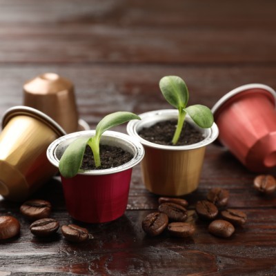 Atouts des capsules à café biodégradables en entreprise à Liège